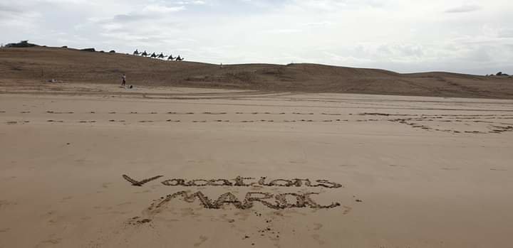 camel riding in Essaouira