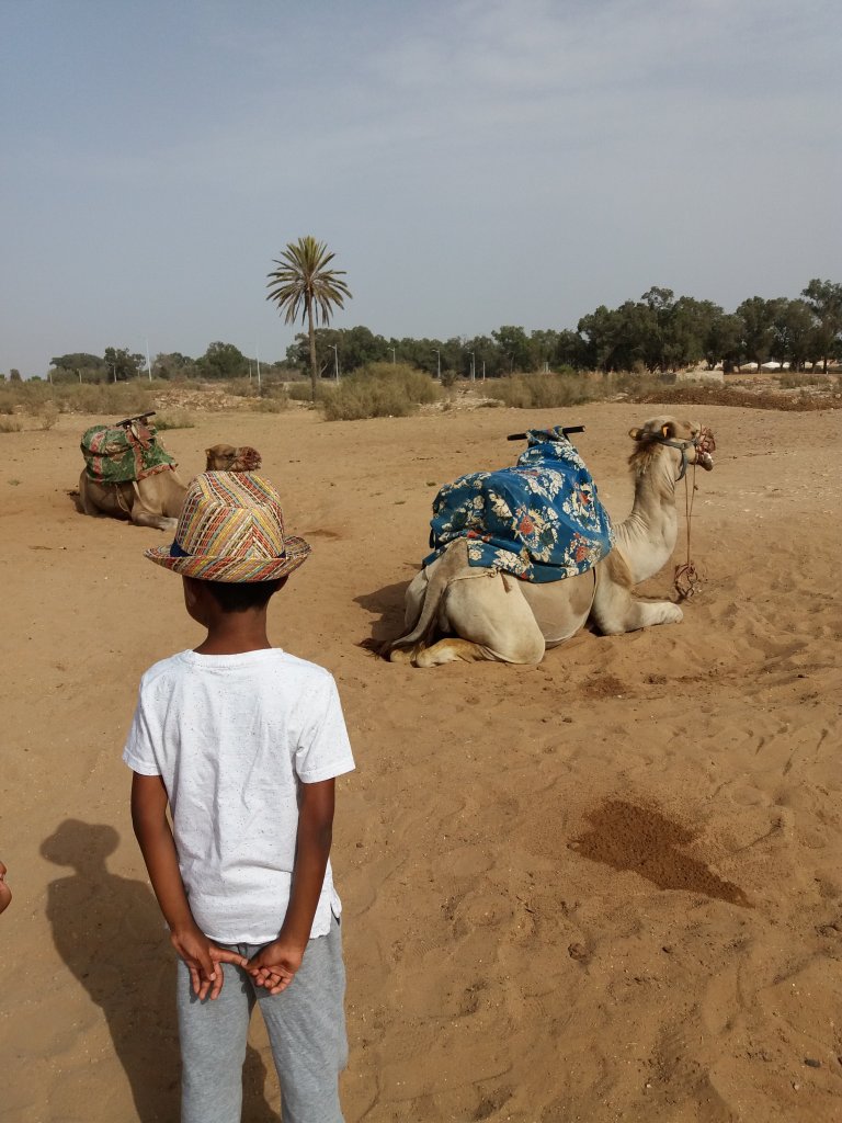 camel ride agadir
