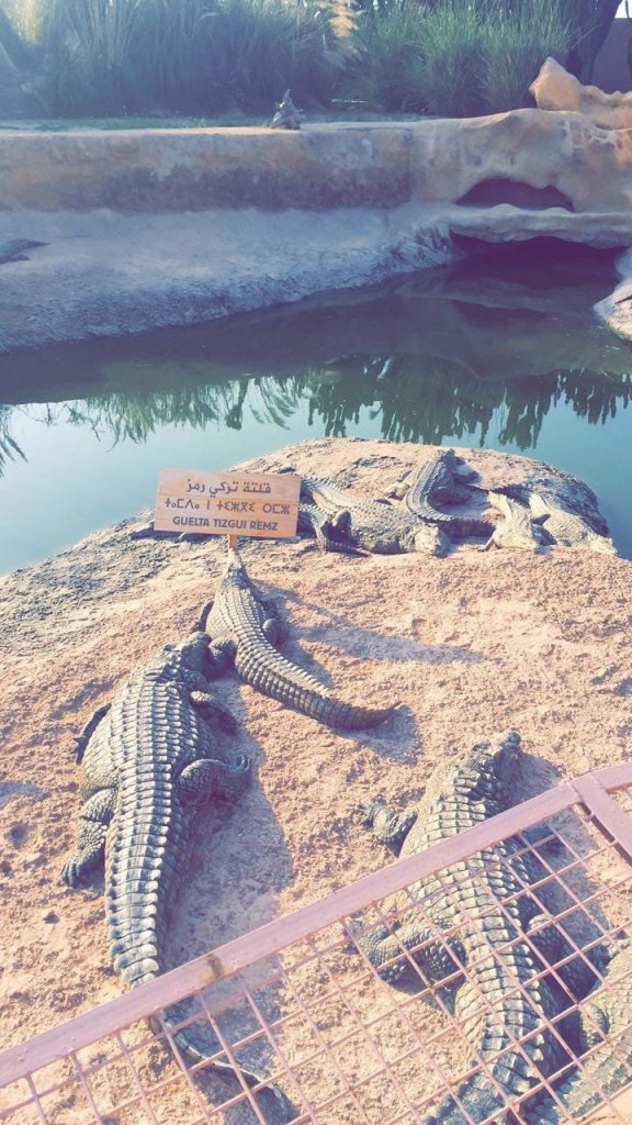 Crocoparc Agadir