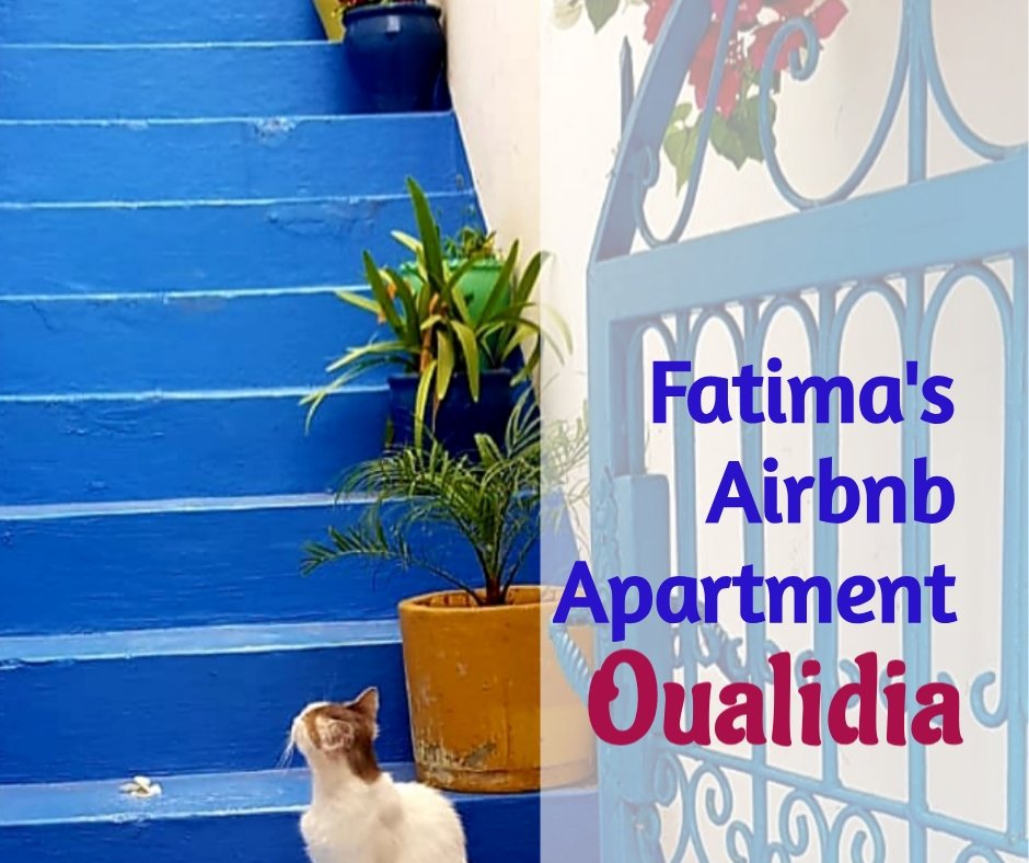 Fatima’s Airbnb Apartment in&nbsp;Oualidia